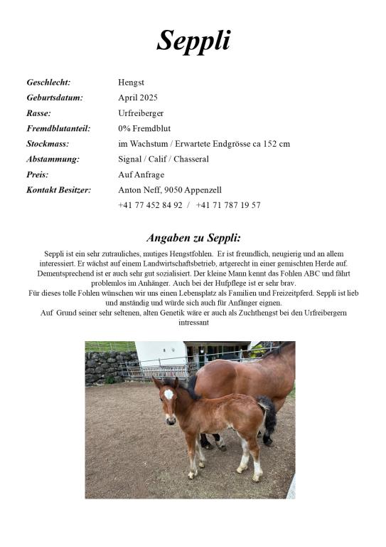 Verkauf Seppli