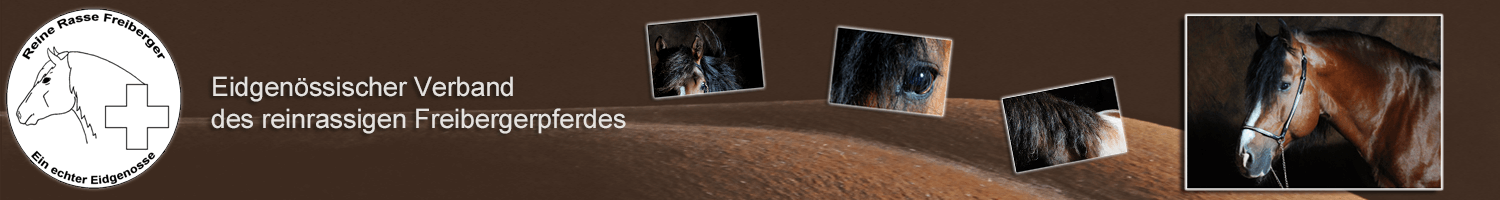 Eidgenössischer Verband des reinrassigen Freibergerpferdes