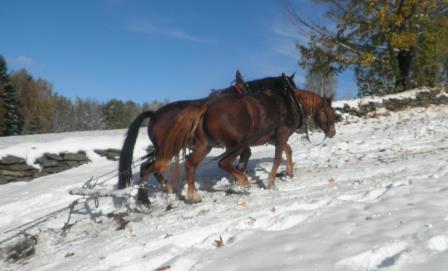 56755 109679829192586 1883321375 o